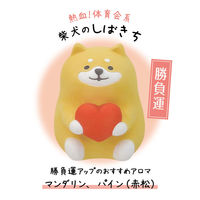 デコレコーポレーション デコレ AG-17403 風水アロママスコット しばきち 1個（直送品）