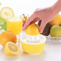 タイガークラウン タイガー レモン絞り 容器付 #2106 1個