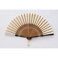 ひしだ SB-21 P透うさぎ白 小田巻有6.5 1本（直送品）