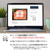 AoyamaLab オンラインギフト　URLですぐ納品　デジタルギフト　AOYAMA COLLECTION（30点以上掲載）（直送品）