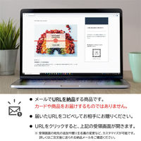 AoyamaLab オンラインギフト　URLですぐ納品　デジタルギフト　AOYAMA COLLECTION（100点以上掲載）（直送品）