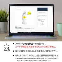 オンラインギフト　URLですぐ納品　デジタルギフト　ミライズ MIRAIZ ナチュラルミネラルウォーター 500ml 48本（直送品）