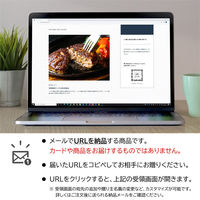 オンラインギフト　URLですぐ納品　デジタルギフト　ステーキ屋さんの極上＆特選牛生ハンバーグ 水晶-Suisyo-(ハンバーグ2種計6個)（直送品）