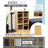 ネットフォース シューズラック 靴箱 2列3段 6人用 ブラウン NF-SR0609-6-AW 1台（直送品）