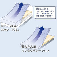 小栗 ニットシーツ Dサイズ BR MNS673091-93 1枚