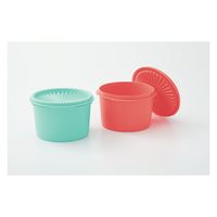 Tupperware ミニデコレーター(2)ライトグリーン・ピンク B0154 1個（直送品）