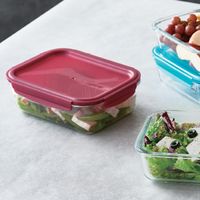 Tupperware タッパーウェア プレミアグラス コンテナー 1L ボルドー B0168 1個（直送品）