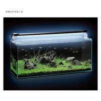 ジェックス GEX クリアLEDパワースリム 600 ブラック 225698 1個（直送品）