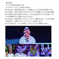 Maxspect NanoーTech BIOーPLUG 25個 239362 1個（直送品）