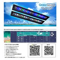 ボルクスジャパン Wing2 60 Marine/マリン 243865 1個（直送品）