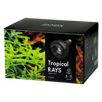 ZOOX LED RAYS Tropical 253416 1個（直送品）
