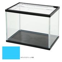 水作 NEW きんぎょファミリー M 268095 1個（直送品）