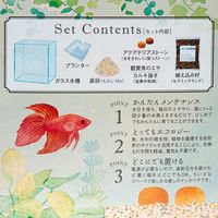 水作 アクアテリア N160 ベタ用 270352 1個（直送品）