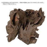 カミハタ タイ産天然流木 ハーフツリーボトムウッド S 約13×12×18cm 273887 1個（直送品）