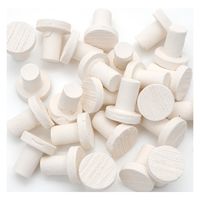 アクア・テイラーズ Oceans Wanders セラミック コーラルフラッグ プラグ 25個 560517 1個（直送品）