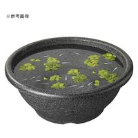 スドー メダカ鉢 ラメ 15号 263124 1個（直送品）