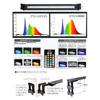 ゼンスイ マルチカラーLED 600 リモコン付き 230590 1個（直送品）