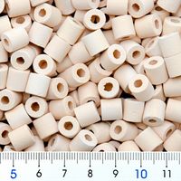 太平洋セメント パワーハウス ベーシック(ハードタイプ)Sサイズ 淡水・海水両用 1リットル 266956 1個（直送品）