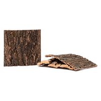 リーフ バックパネル用 コルク樹皮 1枚(273×290mm)エキゾテラ グラステラリウム 3030用 247545 1個（直送品）