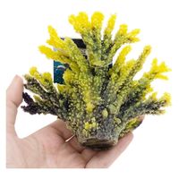 LSS研究所 レプリカサンゴ スモールコーラル TRーmini4 Y 242288 1個（直送品）