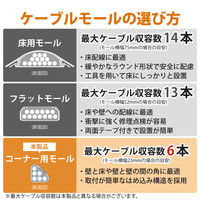 エレコム コーナー用モール/ホワイト/幅15mm/1.0m LD-GAFC1/WH 1個