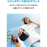 Anker Bluetoothスピーカー ポータブル Soundcore mini3 15時間連続再生 IPX7 A3119011 1個