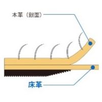 エスコ [LL] 245mm 手袋(牛床革) EA353C-93 1セット(10双)（直送品）