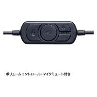サンワサプライ USBヘッドセット MM-HSU10GMN 1個