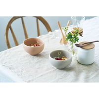 アイトー #0113508 カレット ペアボウル 1組（直送品）