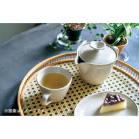 アイトー #0288506 景 卯の花 ポット 1個（直送品）