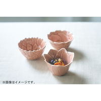 アイトー #0288565 形 アマリリスボウル さんご　1個（直送品）