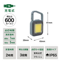 ムサシ 充電式フラッシュライト6W GB COB-WL006GB 1個