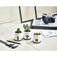 聖新陶芸 カクタス de 柱サボテン GD-93002 1個