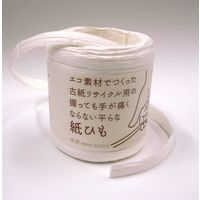 エスコ 10~14mmx43m 紙ひも(白) EA628PE-2 1セット(10個)（直送品）