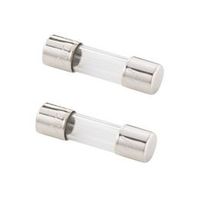 エスコ 250Vx 1.0A/φ6.4mm 管ヒューズ(B種溶断/2本) EA758ZX-330 1セット(30pk:1pk×30パック)（直送品）