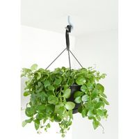 エスコ 92x 39x 6.3mm フック(ビニールコーティング/2個) EA951FZ-14 1セット(20個:1個×20パック)（直送品）