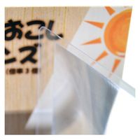 ブッシュクラフト 火おこしレンズ カード型(倍率3倍) 4573350722015 1個（直送品）