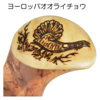 ブッシュクラフト カーリーバーチ&ヘラジカのツノ ヨーロッパオオライチョウ 4573350727867 1個（直送品）