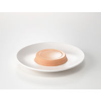 【栄養補助食品】 クリニコ エンジョイ小さなハイカロリーゼリー（もも味） 0648574 1個