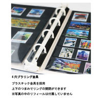 テージー コレクションアルバム表紙のみ 青 CA-31-02 1セット(2冊)