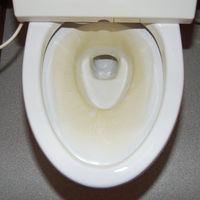 ミラコン 尿石落し 280mL トイレ 悪臭 尿石 クリーナー 洗剤 洗浄 掃除 1個日本ミラコン産業