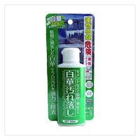 白華汚れ落し 100mL 屋外 洗剤 ブロック タイル エフロ 掃除 汚れ 1セット（3個）日本ミラコン産業