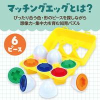 アーテック たまご型のかたちあわせ パック付 11737 1個