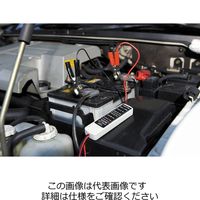 エスコ バッテリーチェッカー(直結用) EA771AD-2 1セット(3個)（直送品）