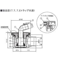 テクノテック 排水透明トラップ SNTーSWM 横引き用 アイボリーホワイト 533272 1台（直送品）