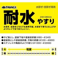 高儀 TAKAGI 耐水やすり #100 4907052221130 1セット(20個)（直送品）