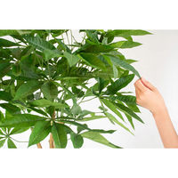 岩や 人工樹木／人工観葉植物　パキラ GOW-494 1個（直送品）