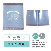 クリアファイル A5サイズ 6ポケット ブルー PET-FB 3冊 エヒメ紙工（直送品）