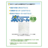 オーネス 業務用エアコンフィルター 楽くり～ん(天吊りエアコン用10枚入り) RH-D-002 1袋（10枚入り）（直送品）