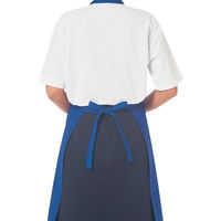 KAZEN カラーエプロン ブルー APK1057 F 1セット(5枚)